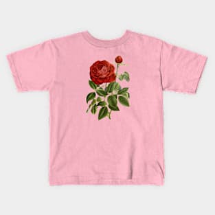 Red Rose Flower Vintage Botanical Illustration Kids T-Shirt